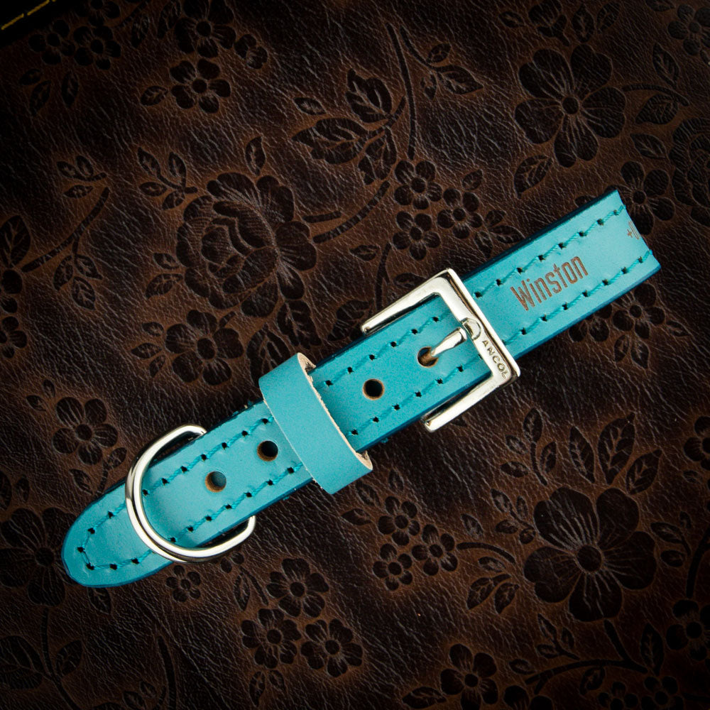 
                Things you Need to Know About Dog Collars and Leashes
              