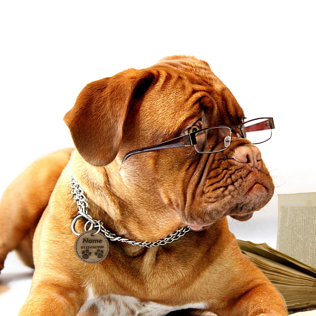 
          
            Why Every Dog Owner Needs a Tag for Their Dog
          
        