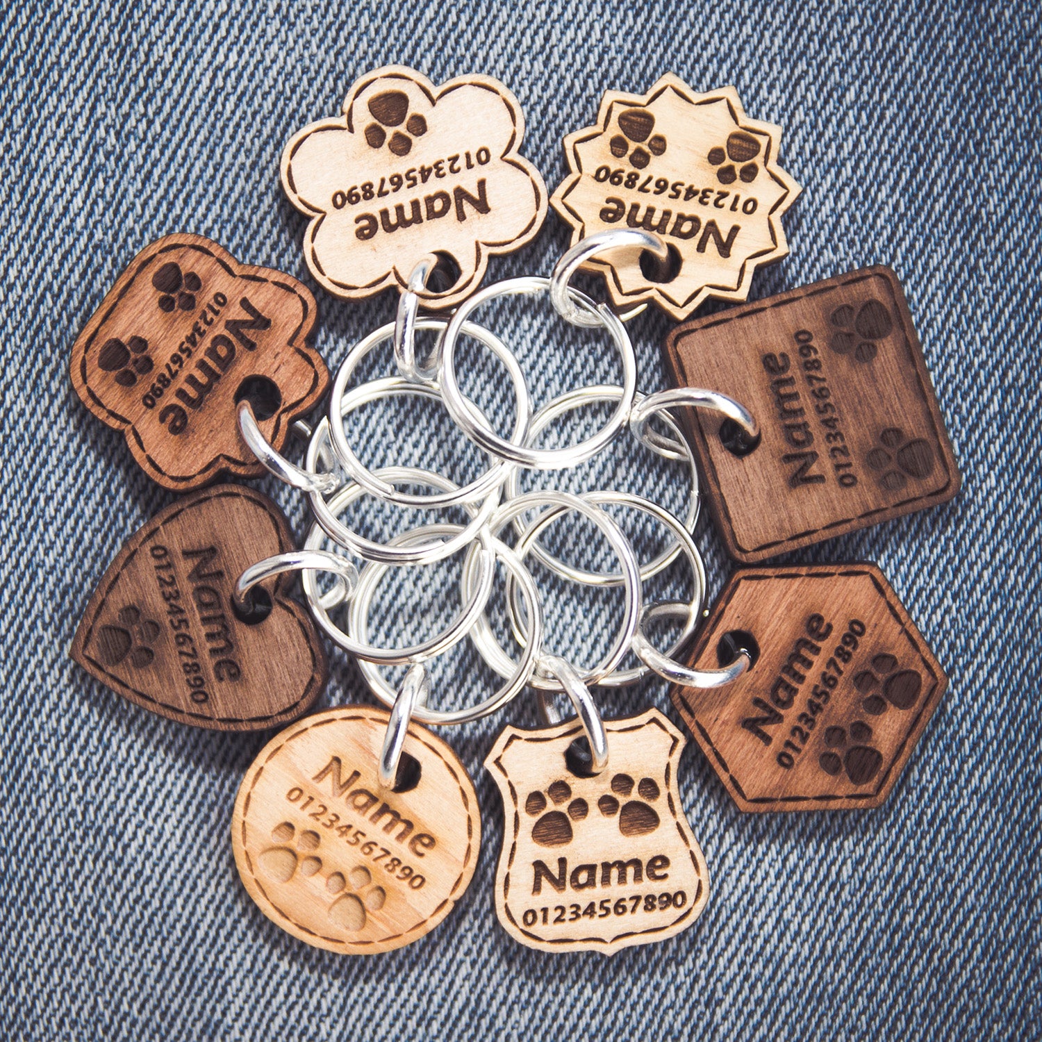 
                7 Reasons Why You Need Pet ID Tag
              