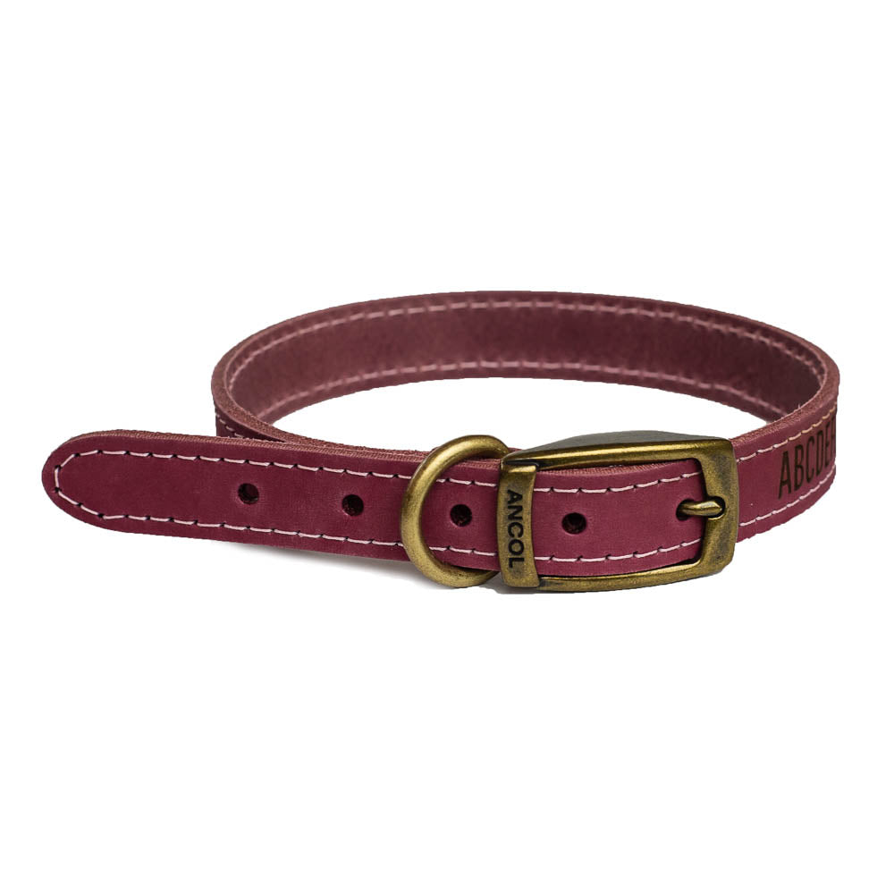 Dog Collars, Personalised, Engraved, Natural leather, Leash optional