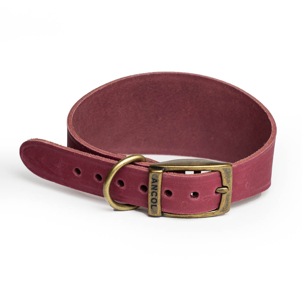 Leather Greyhound Collars - Whippet, Lurcher, Saluki, Deerhound, Natural Leather, Engraved, Leash optional