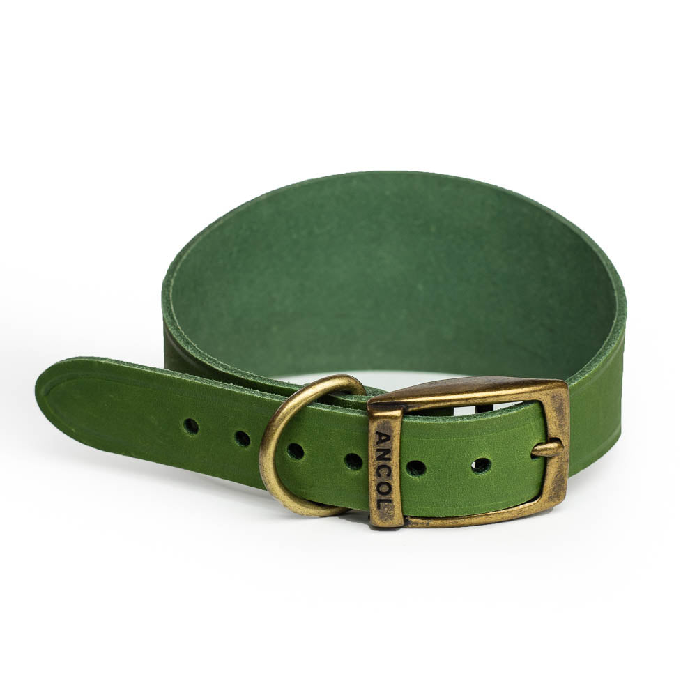 Leather Greyhound Collars - Whippet, Lurcher, Saluki, Deerhound, Natural Leather, Engraved, Leash optional