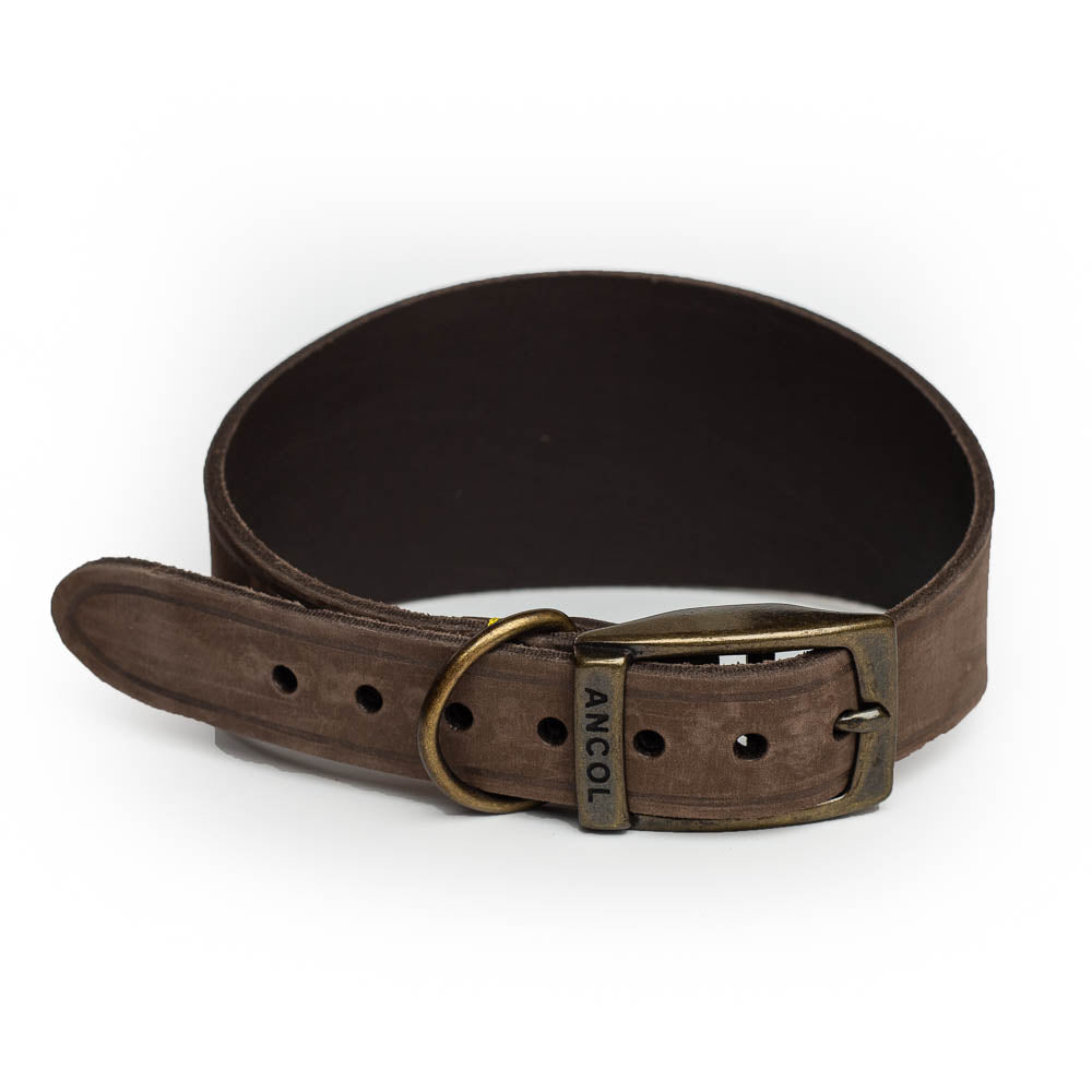 Leather Greyhound Collars - Whippet, Lurcher, Saluki, Deerhound, Natural Leather, Engraved, Leash optional