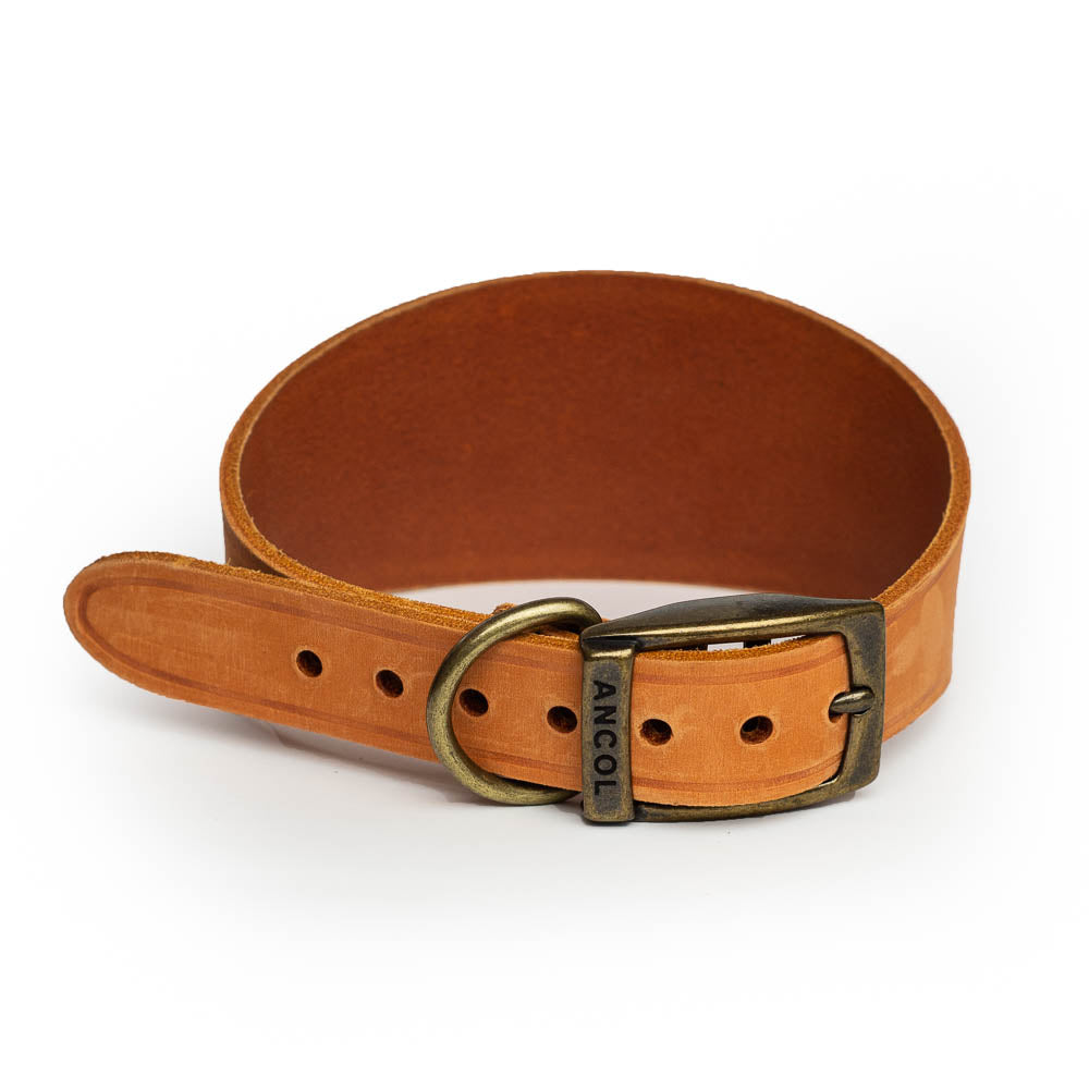 Leather Greyhound Collars - Whippet, Lurcher, Saluki, Deerhound, Natural Leather, Engraved, Leash optional