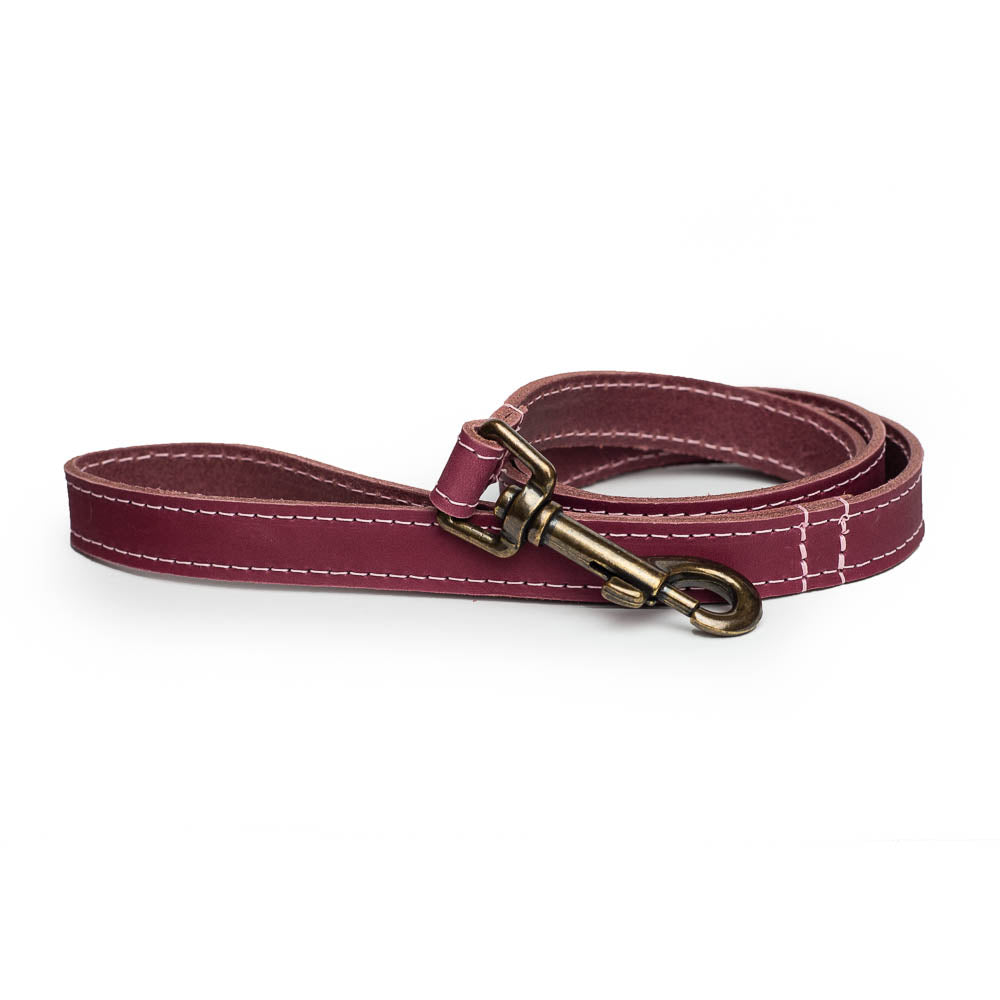 Leather Greyhound Collars - Whippet, Lurcher, Saluki, Deerhound, Natural Leather, Engraved, Leash optional